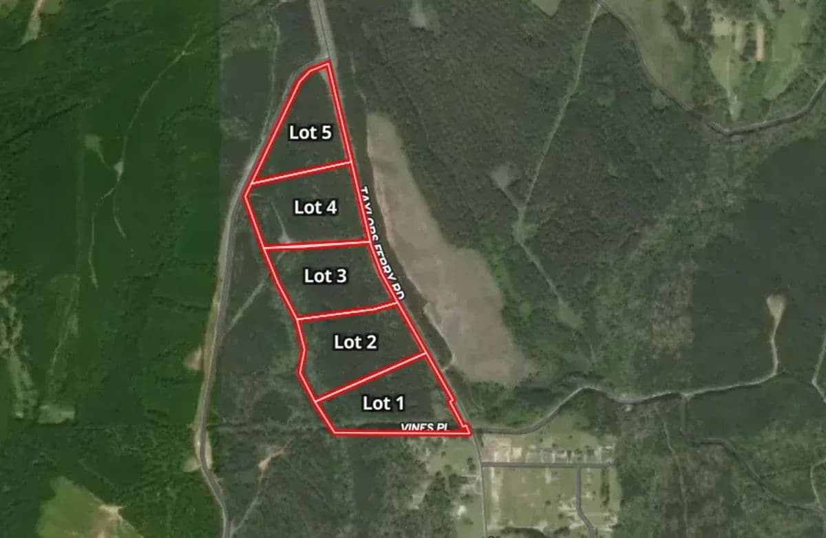 Taylors Ferry East Lot 1 - Oak Grove, Alabama, 35023
