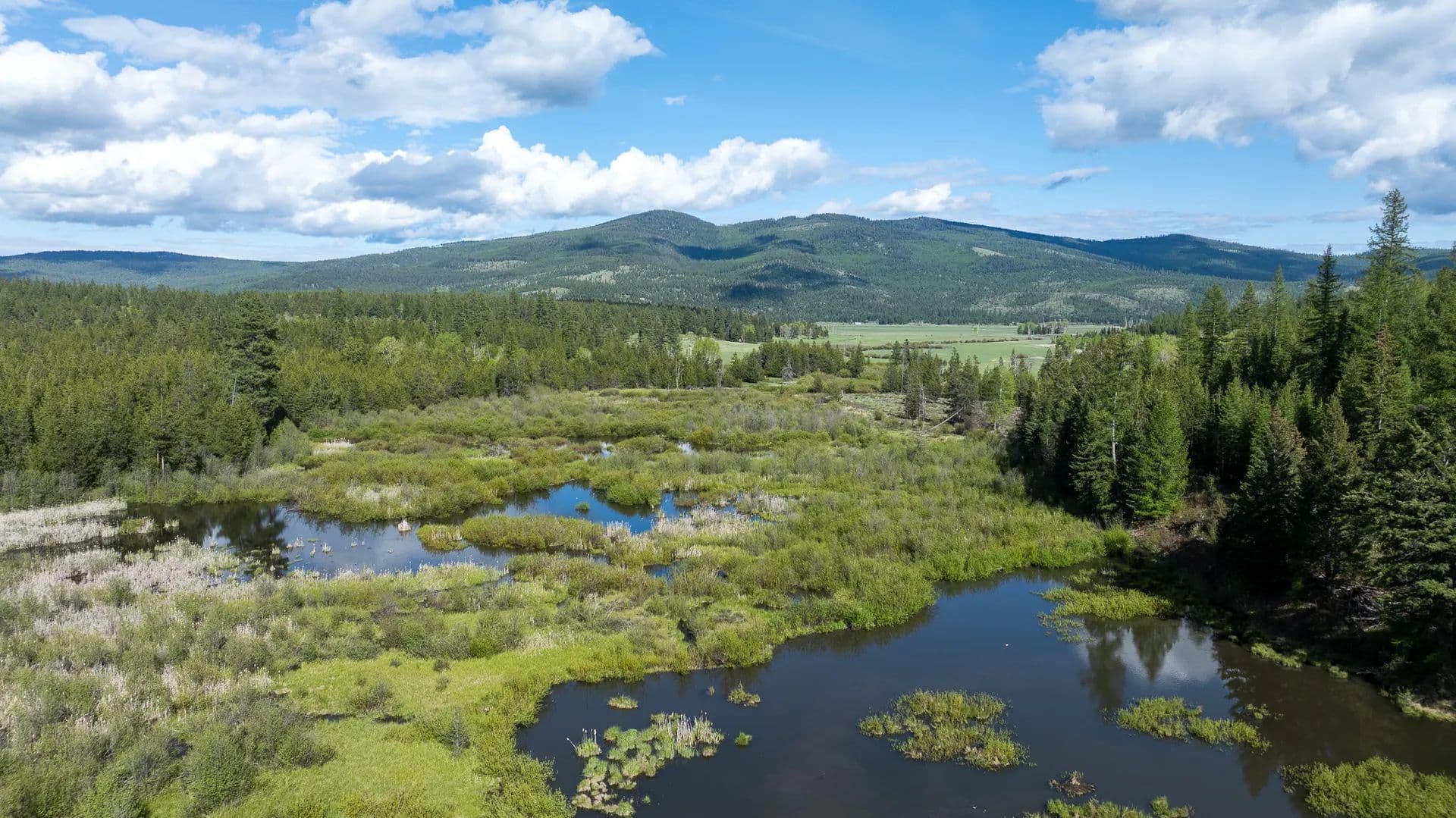 Property from 3180 Browns Meadow Road - KW - Kila, Montana, 59920