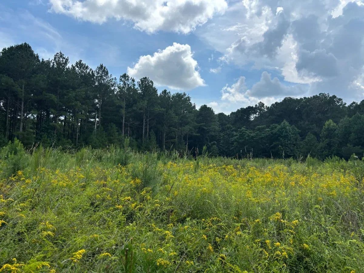 Illery Road Tract - land for sale
