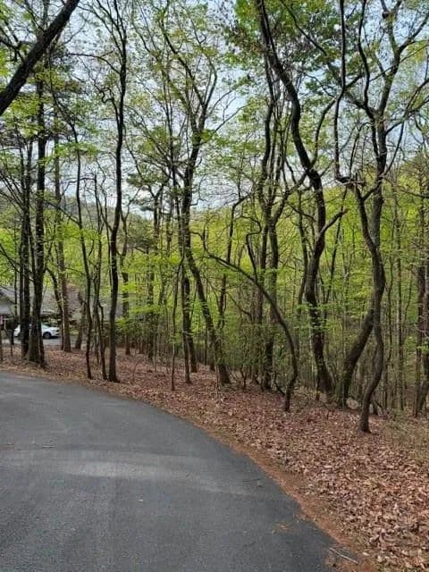 Property from 226 Crested Fern Lane - KW - , Georgia, 30143
