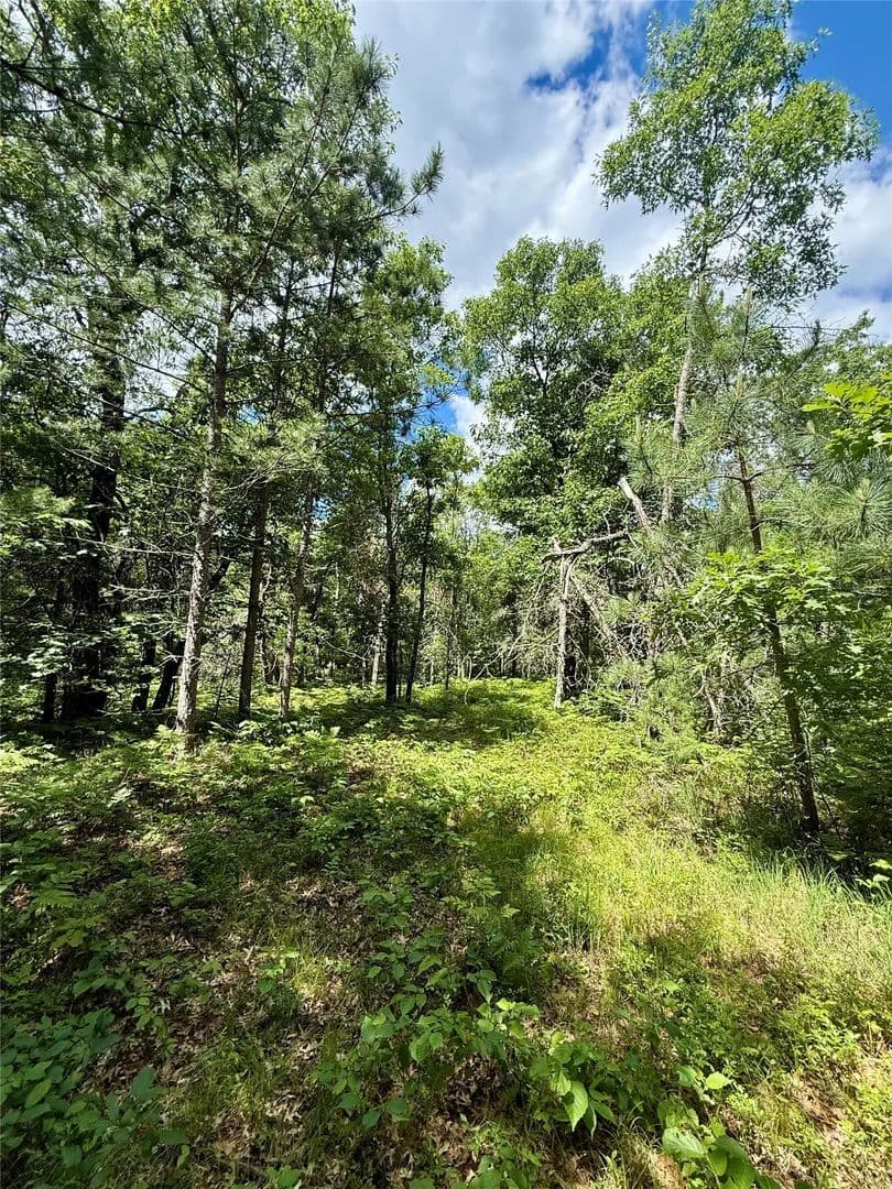 4.12 Acres of Land for Sale in Minong, WI - Minong, Wisconsin, 54859