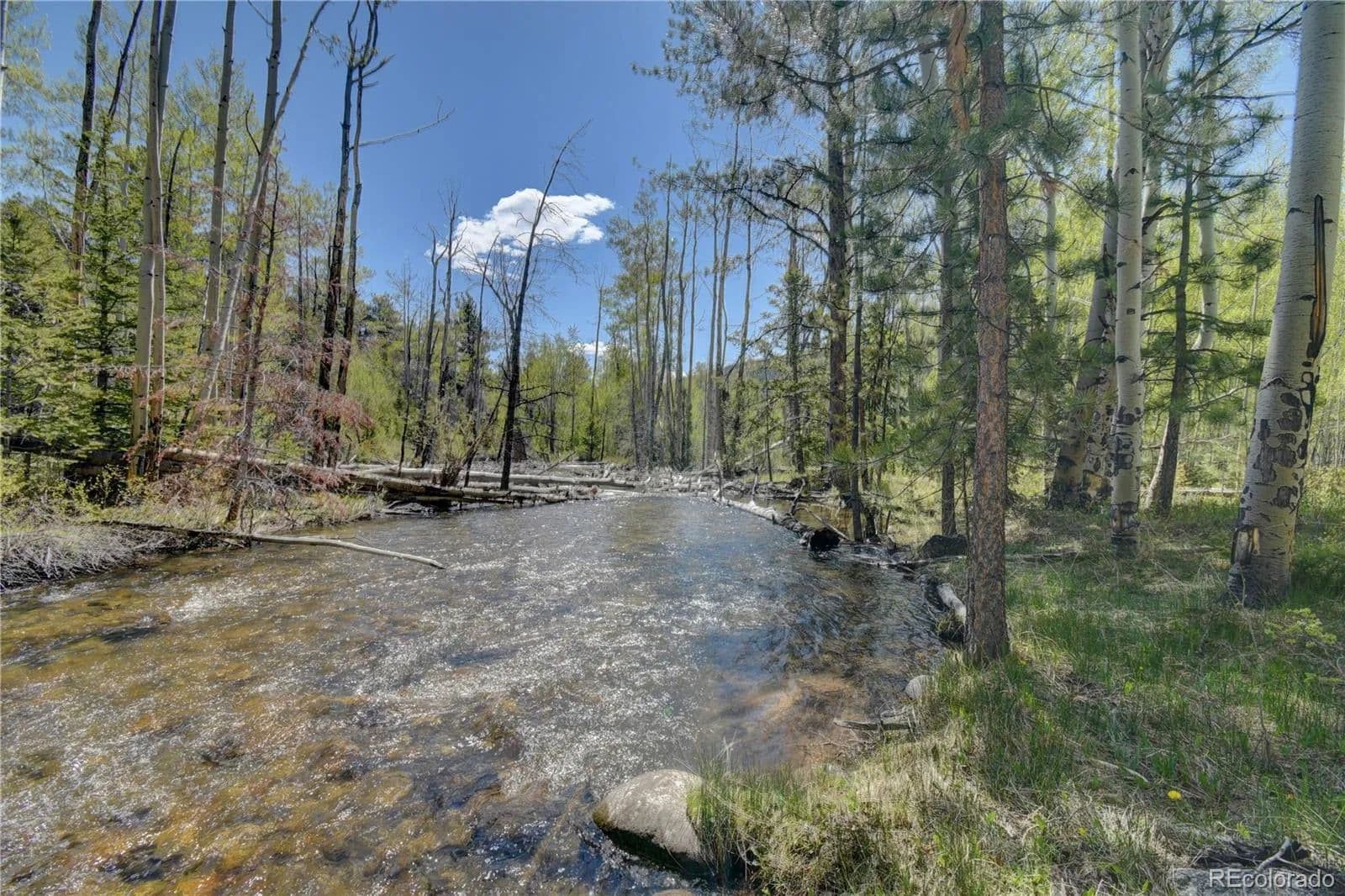 Property from 8525 County Road 225 - KW - Salida, Colorado, 81201
