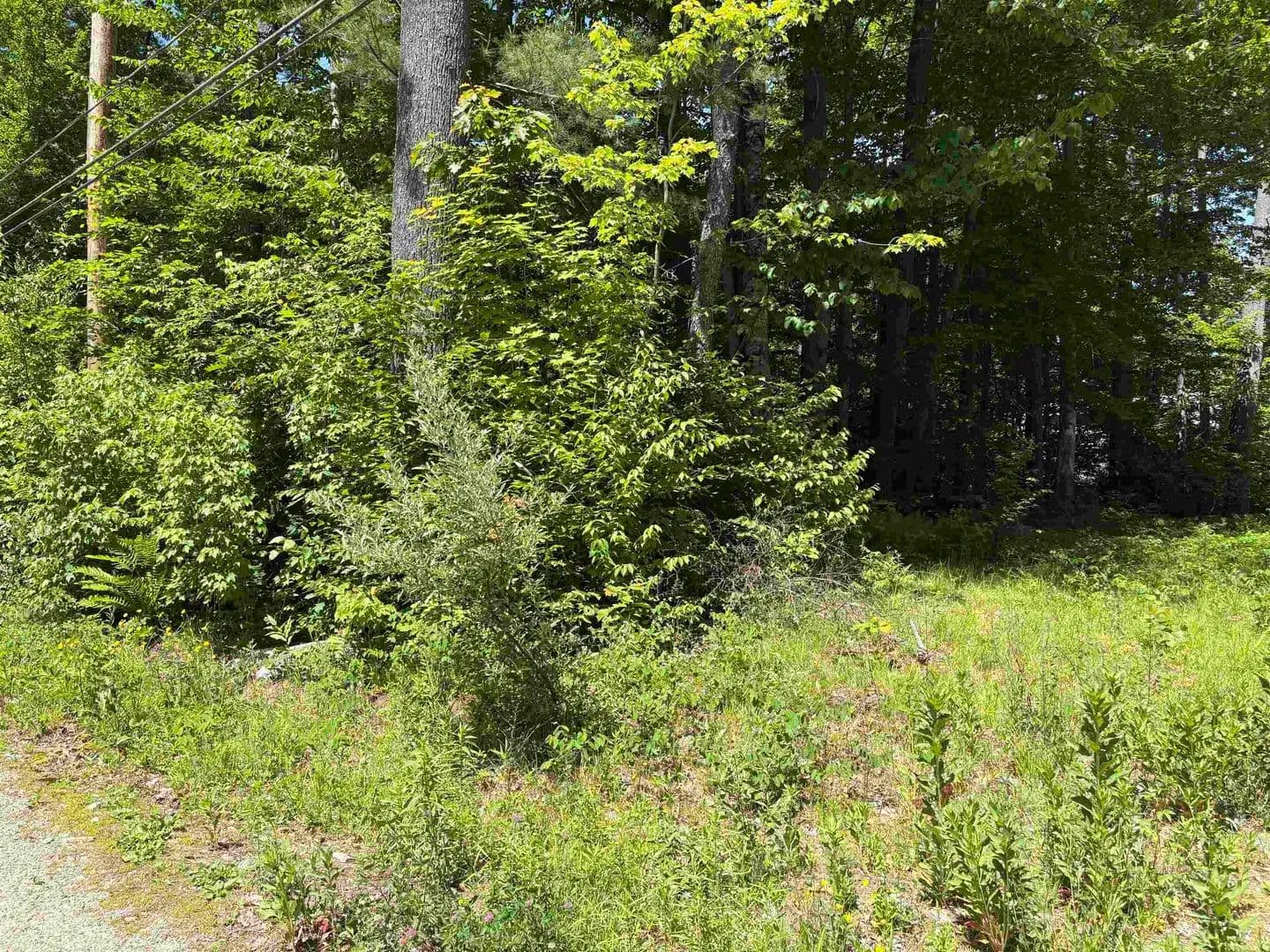 Property from Lot 608 Rabbit Path - KW - Hillsborough, New Hampshire, 3244