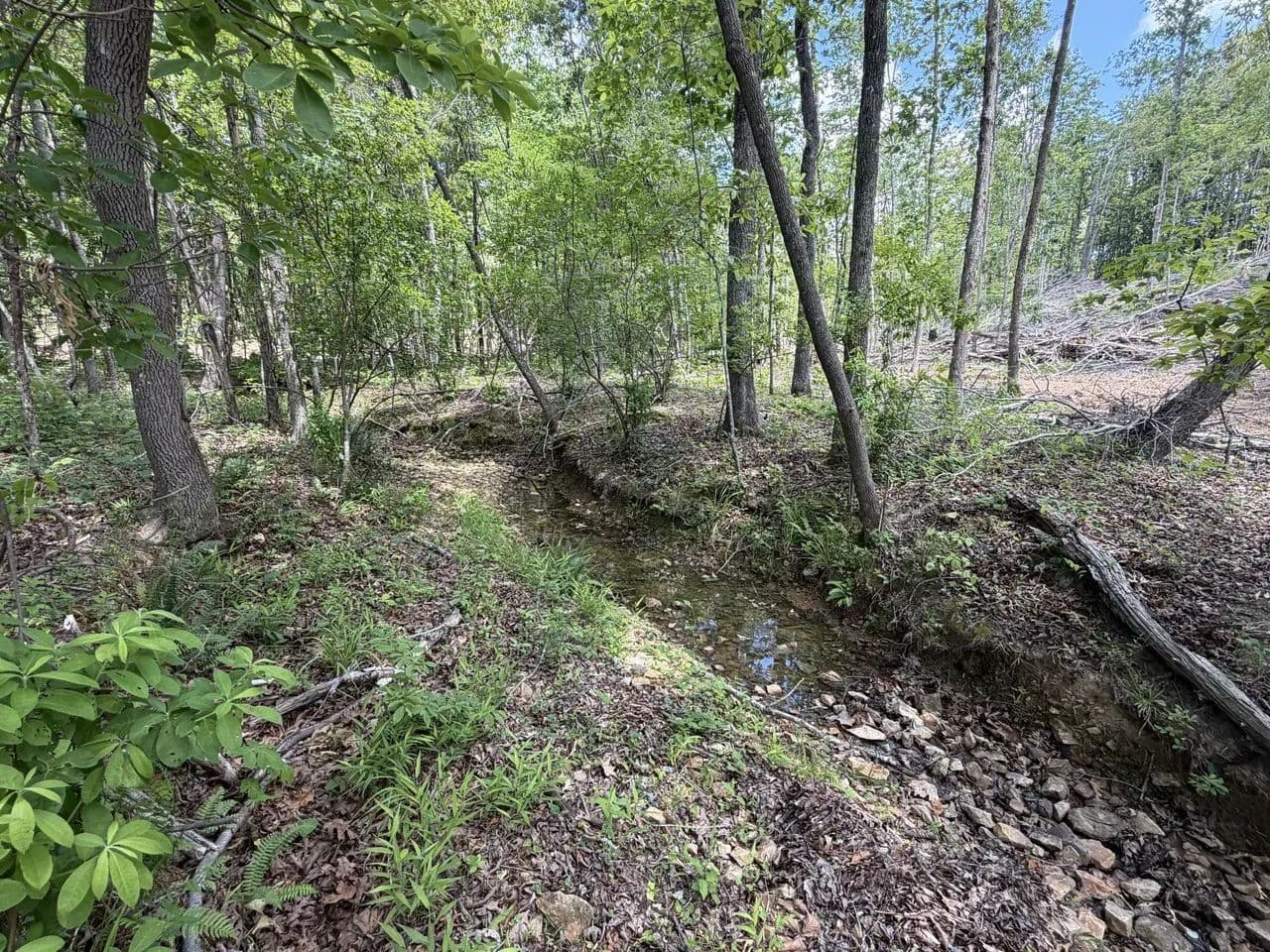 Benton Lot 18 - Holladay, Tennessee, 38341