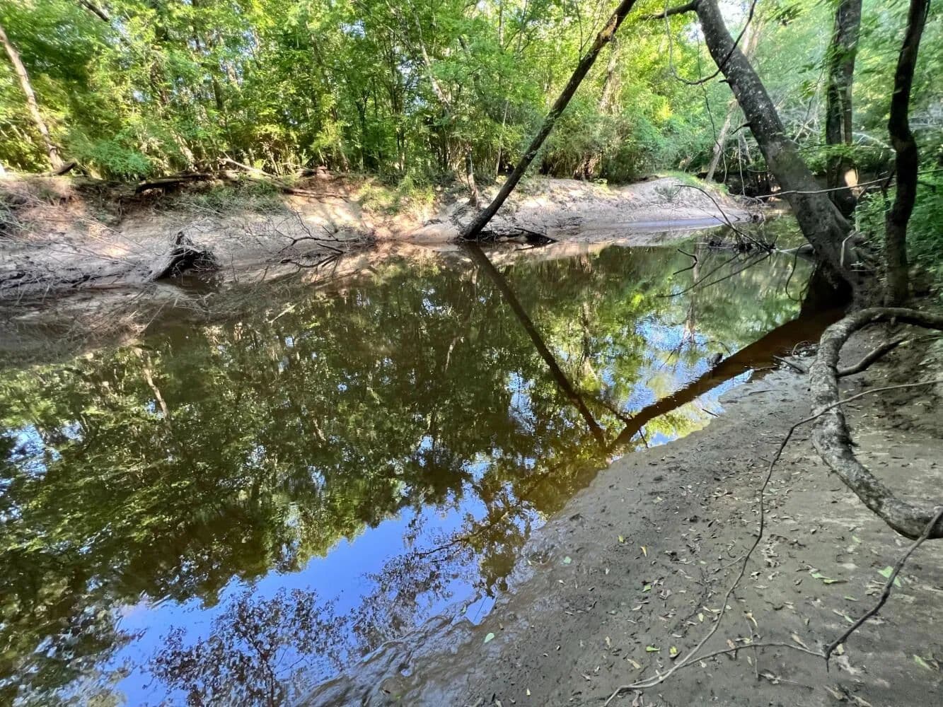 Santa Bogue Creek Bashi Road Millry Hunting Retreat - Millry, Alabama, 36558