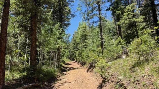 Property from 4.29 Acres Sawyer Mesa Road - KW - Pecos, New Mexico, 87552