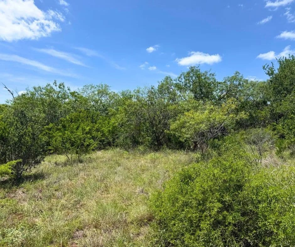 5.32 Acres of Land for Sale in Beeville, Texas - Beeville, Texas, 78102