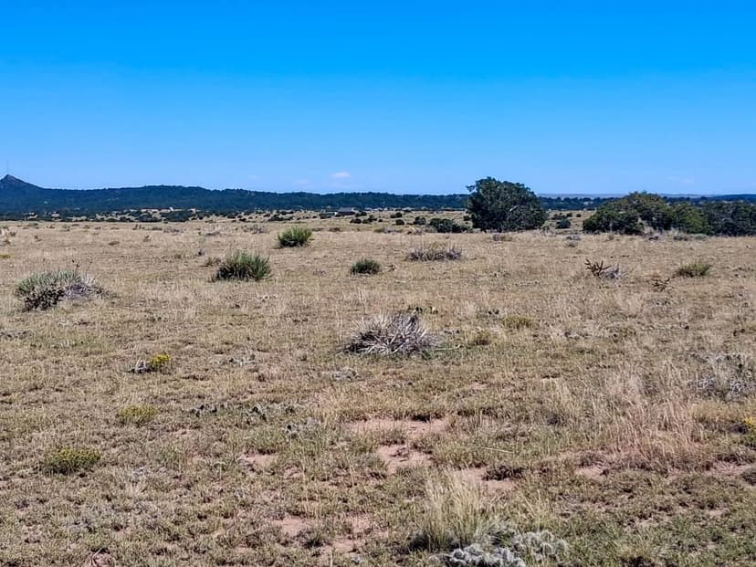 Lots and Land Property for Sale Walsenburg