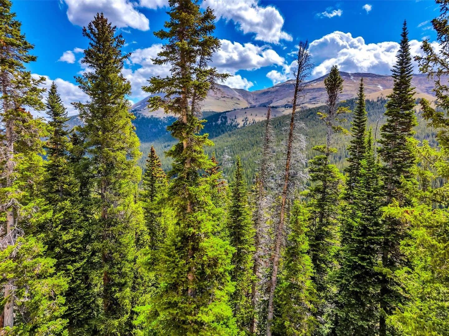 Property from 105 & 71 Quandary View - KW - Breckenridge, Colorado, 80424