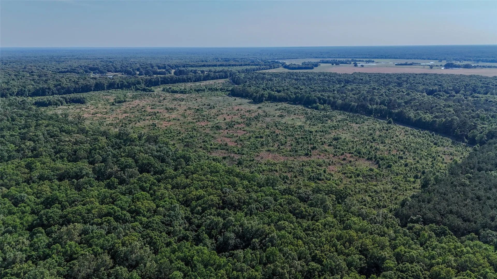 105.9 Acres of Land for Sale in Clarksville, TX - Clarksville, Texas, 75550