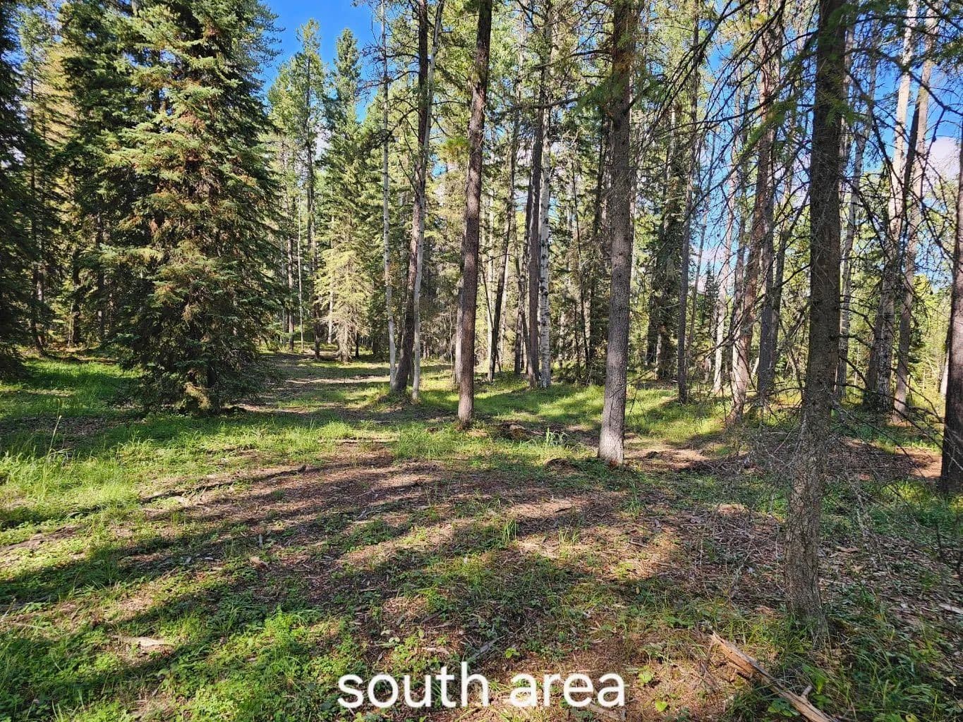 Property from Pine Ridge Alley - KW - land for sale