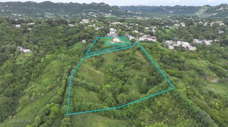 38955 Acres of Land for Sale in Corozal - land for sale