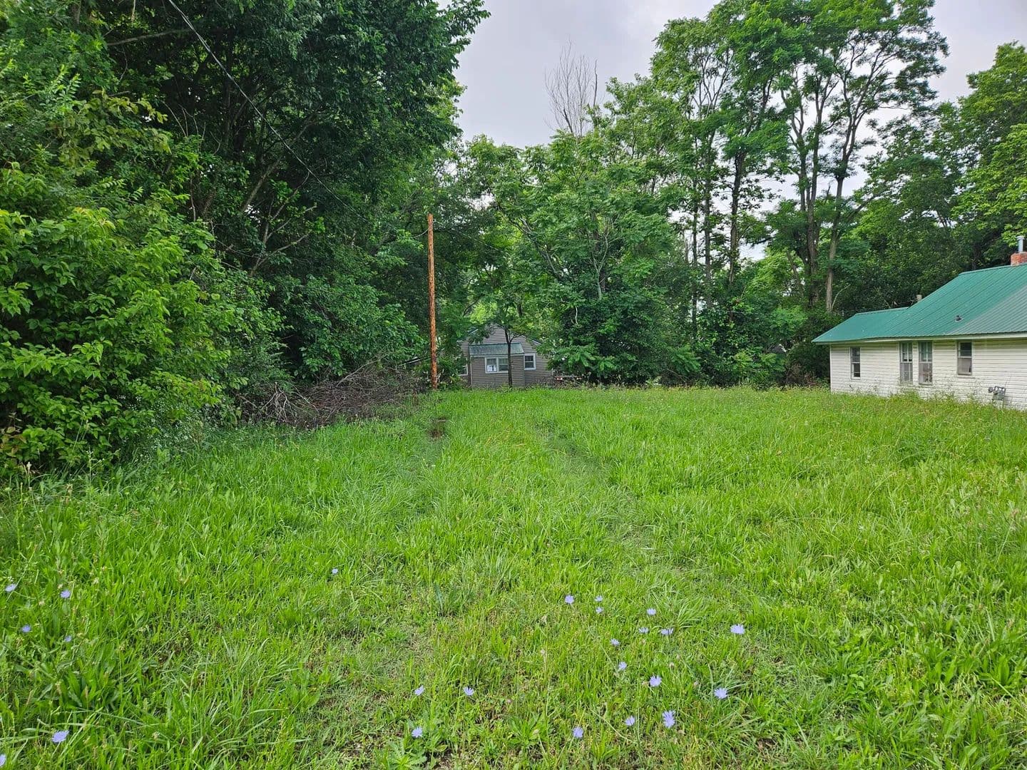 Property from 401 E Webster Avenue - KW - Ava, Missouri, 65608