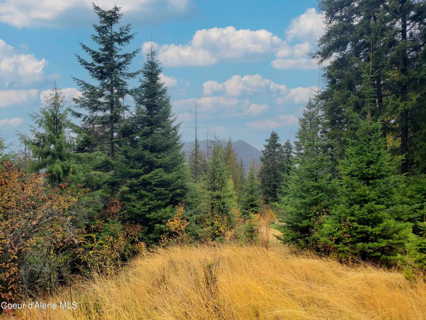 Property from NKA White Cloud Dr - KW - Sandpoint, Idaho, 83864