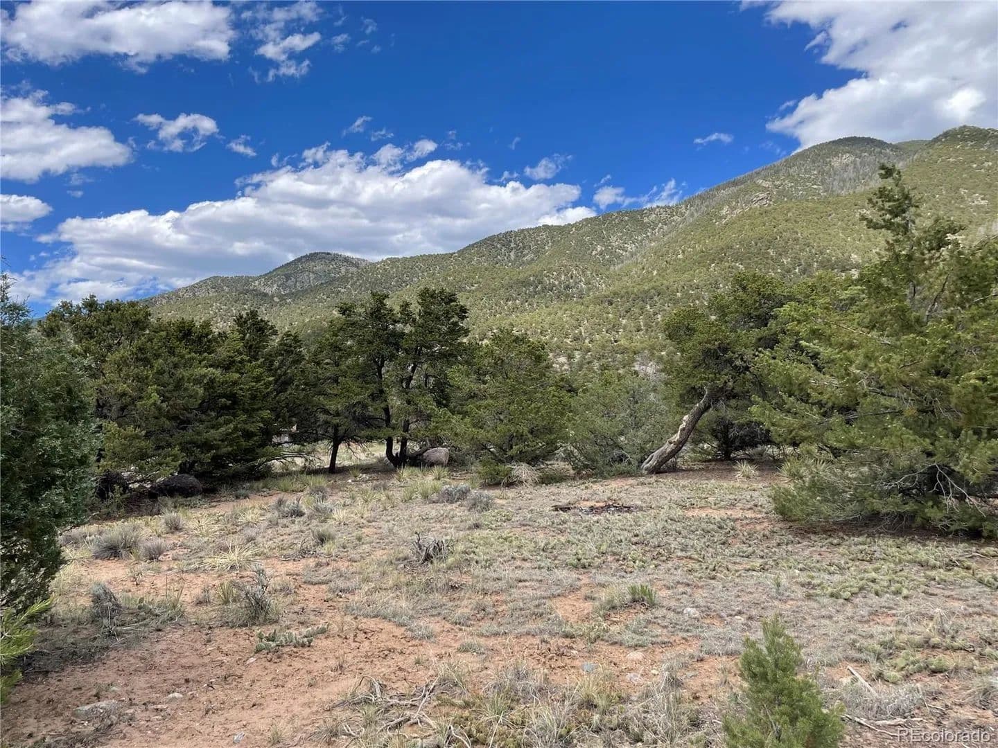 Property from 4303 Fallen Tree - KW - Crestone, Colorado, 81131