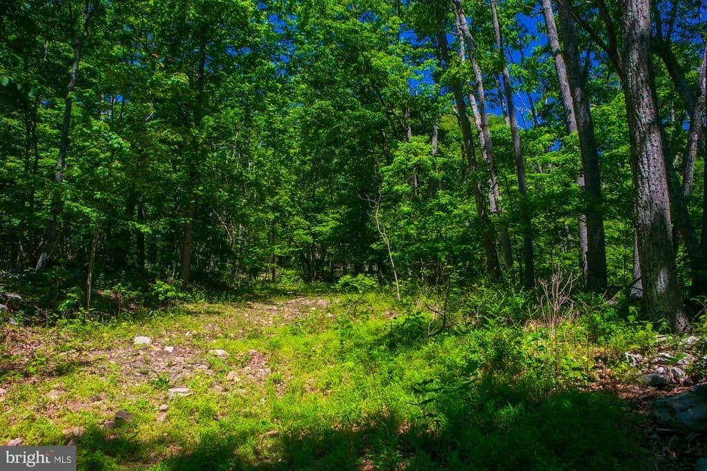 Property from Lot 37 POPLAR TRL - KW - Winchester, Virginia, 22602