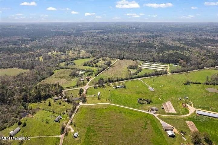 Lots & Land-Other in Mendenhall