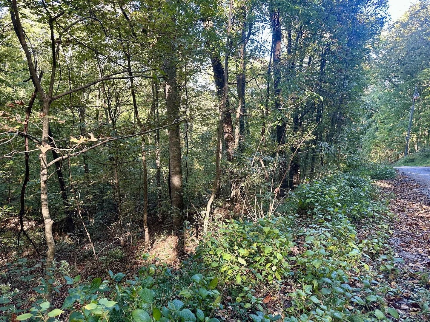 Lots & Land-Other in Smithville - Smithville, Tennessee, 37166