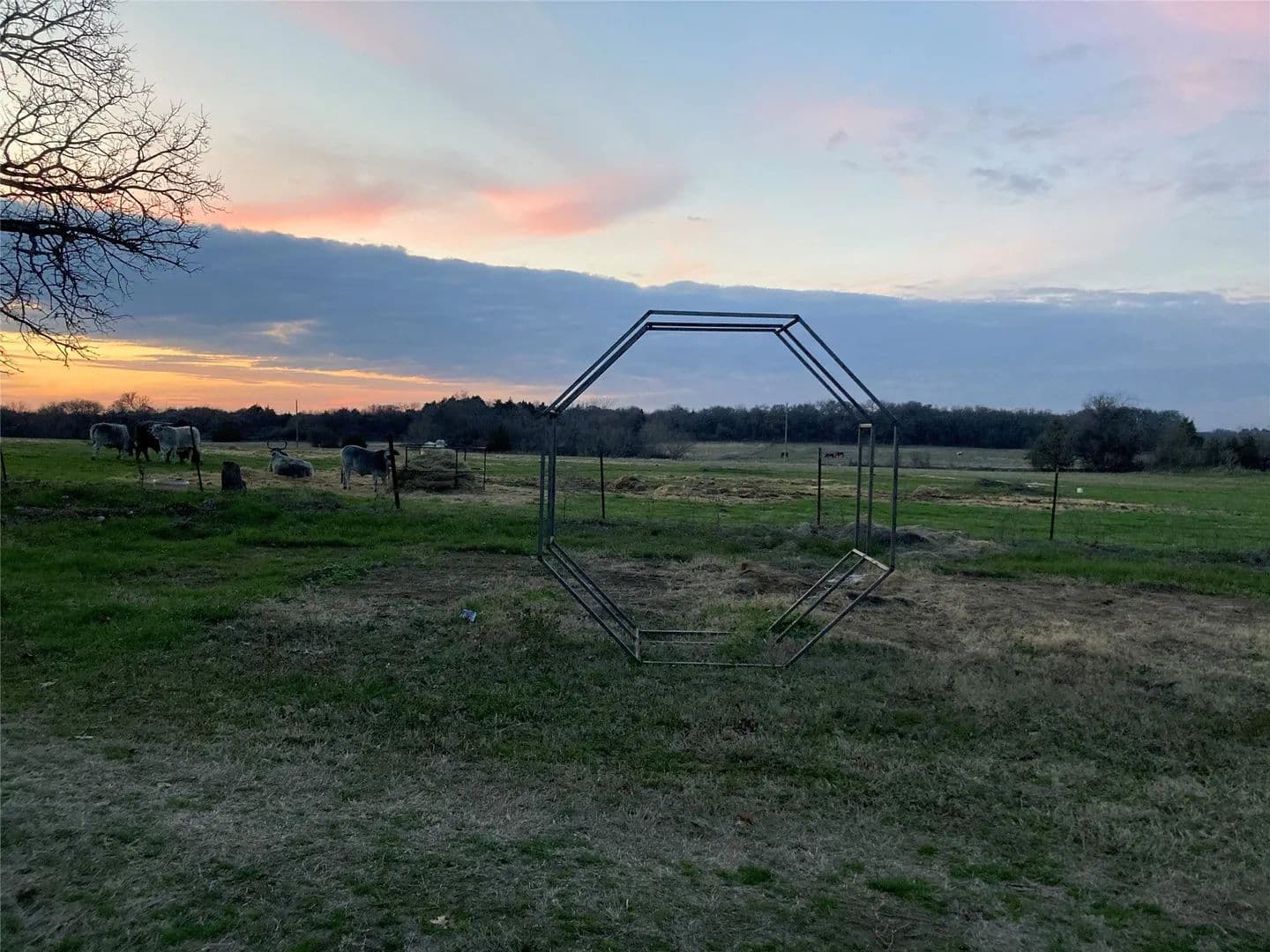 10 Acres of Land for Sale in Covington, Texas - Covington, Texas, 76636