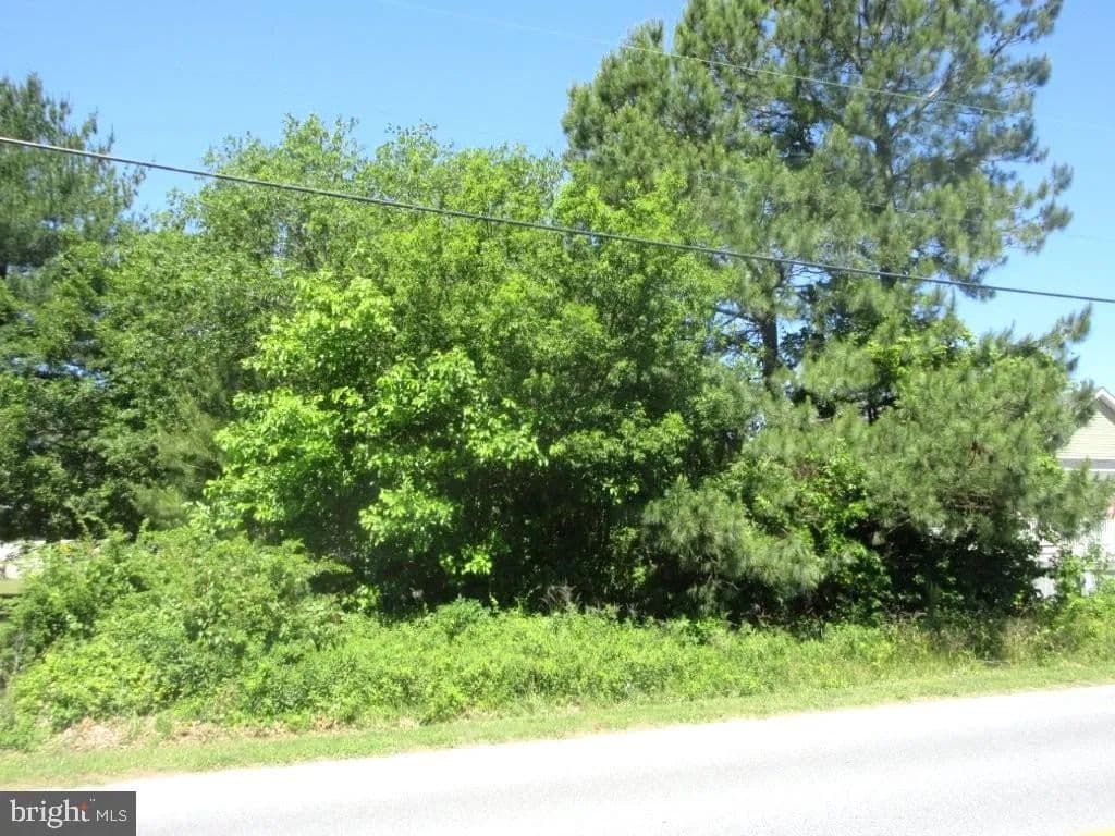 0.26 Acres of Land for Sale in Seaford, Delaware - Seaford, Delaware, 19973