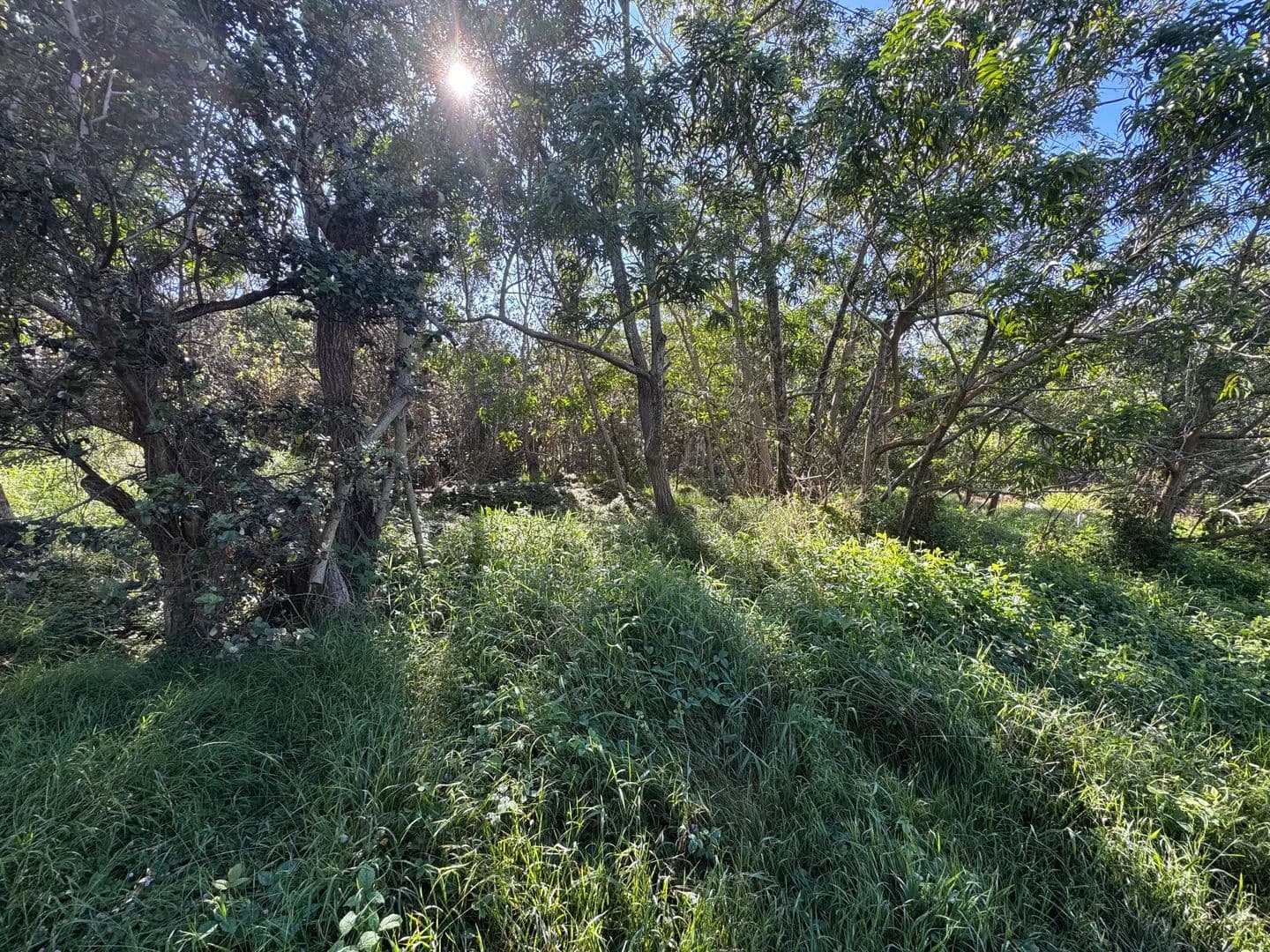 1 Acre of Land for Sale in Ocean View, Hawaii - Ocean View, Hawaii, 96737