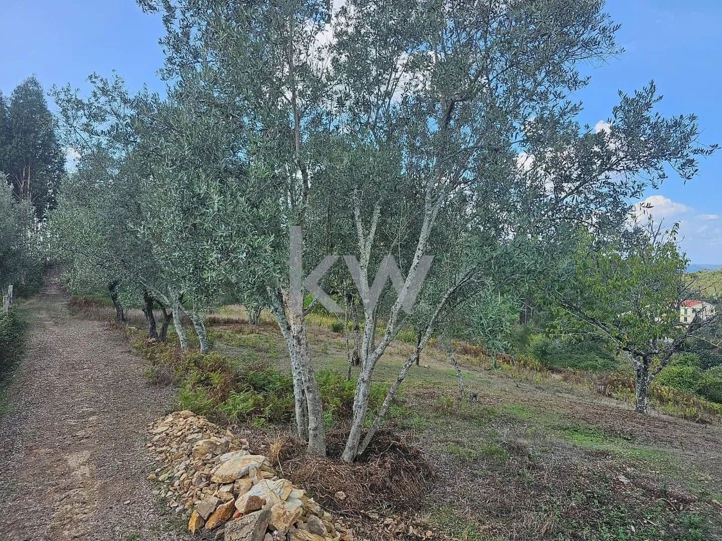 920 Acres of Land for Sale in Santo António dos Olivais, Coimbra - land for sale
