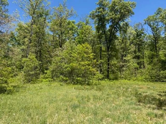 Property from Parcel B W USFS 5196 - KW - Baldwin, Michigan, 49304