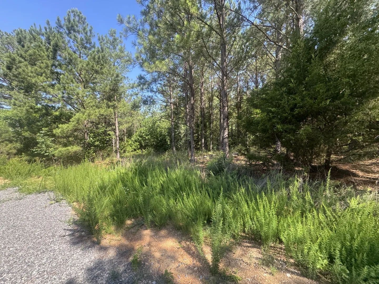 9.7 Acres of Land for Sale in Dover, Tennessee - Dover, Tennessee, 37058