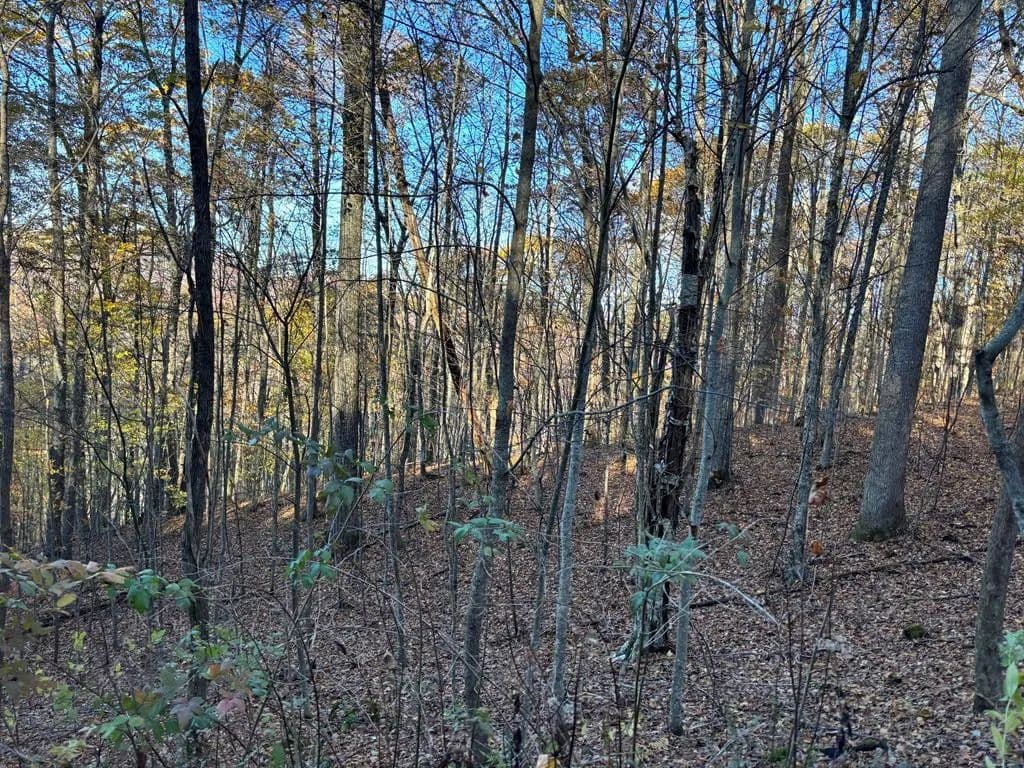 Property from Lot#39 Falcon Stone Ridge - KW - Nantahala, North Carolina, 28781