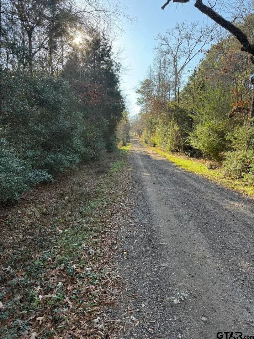 29.74 Acres of Land for Sale in Beckville, TX - Beckville, Texas, 75631