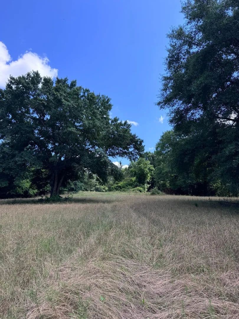 215 +/- Acres Dripping Rock Tract - Molena, Georgia, 30258