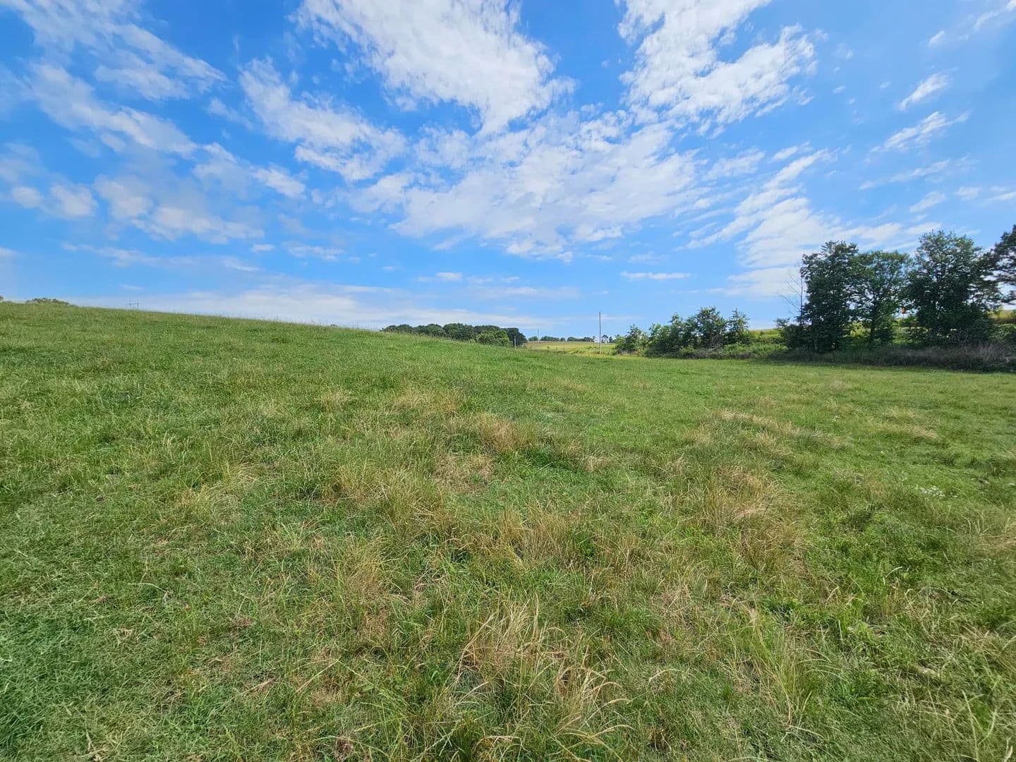 25.19 Acres of Land for Sale in Anderson, MO - Anderson, Missouri, 64831
