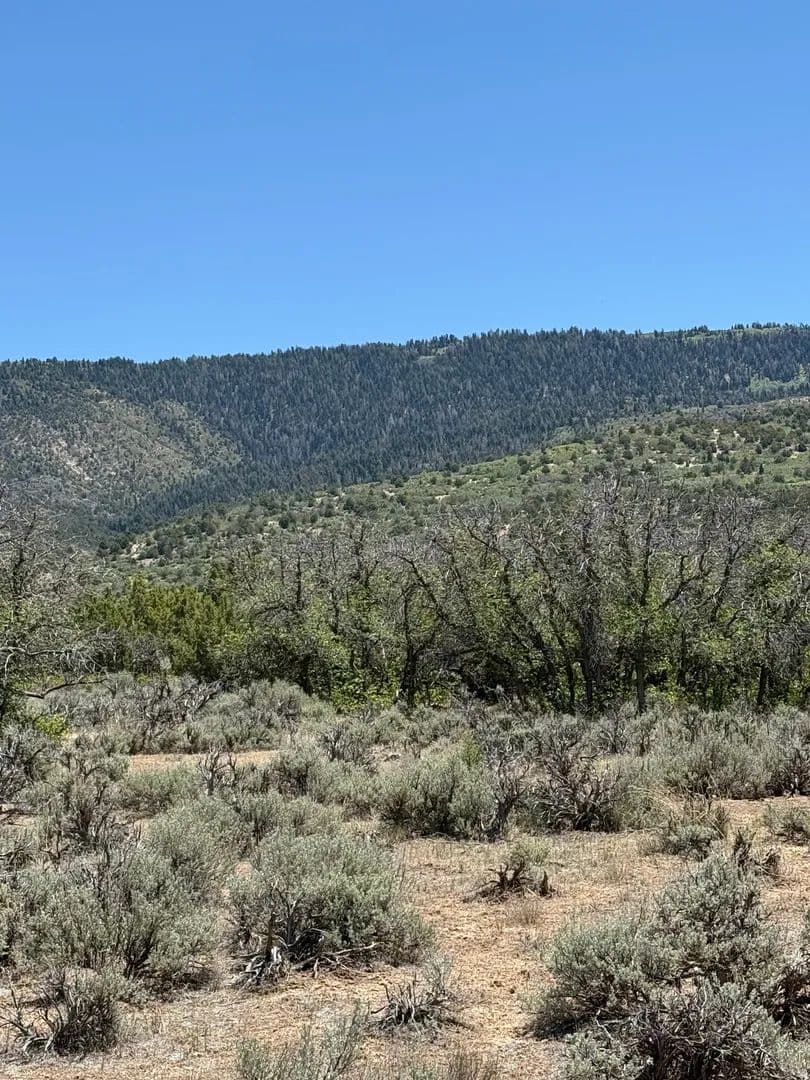 Property from #9 - KW - Spring City, Utah, 84662