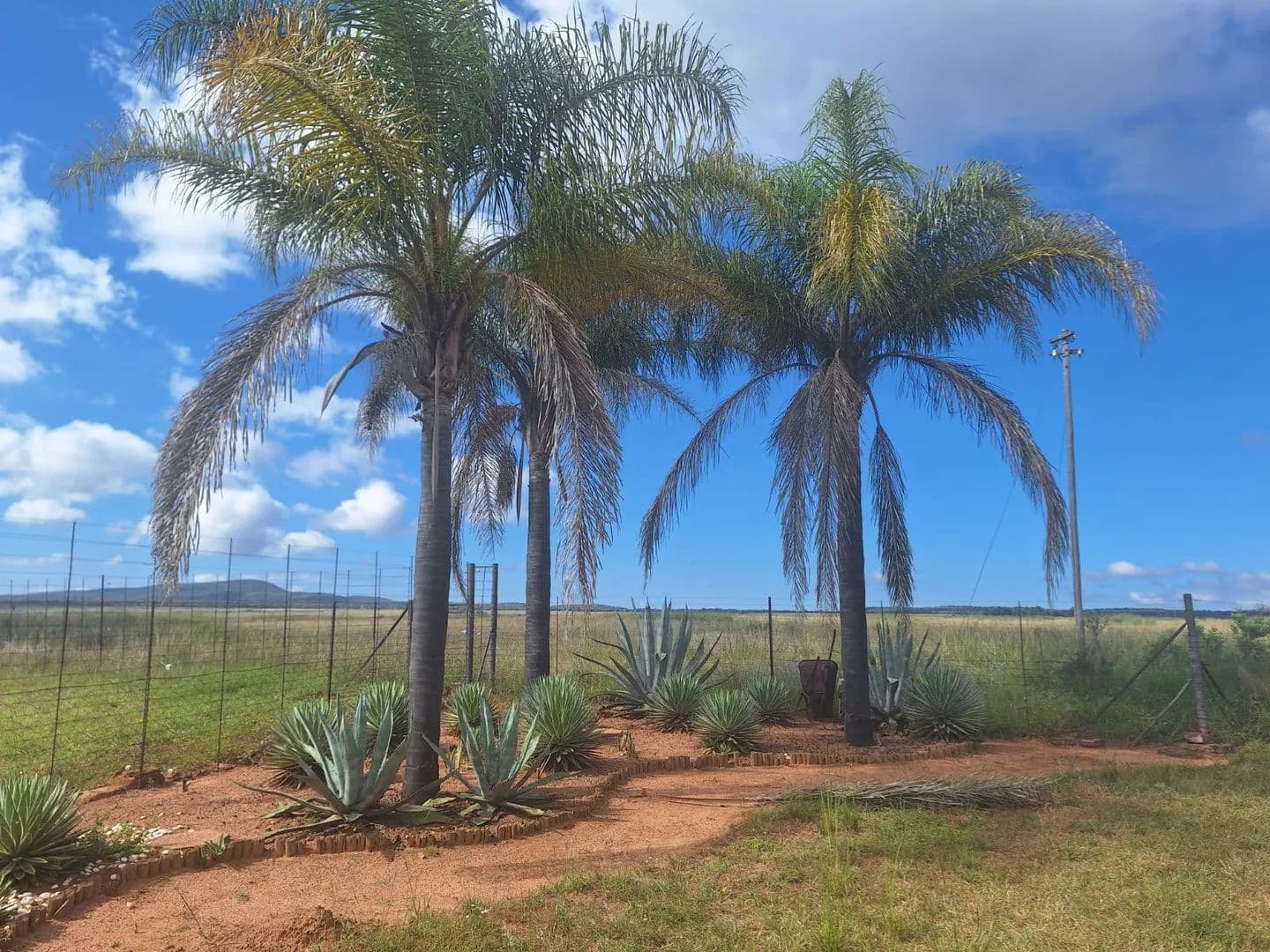 Land for Sale in Mookgopong, Limpopo - South Africa