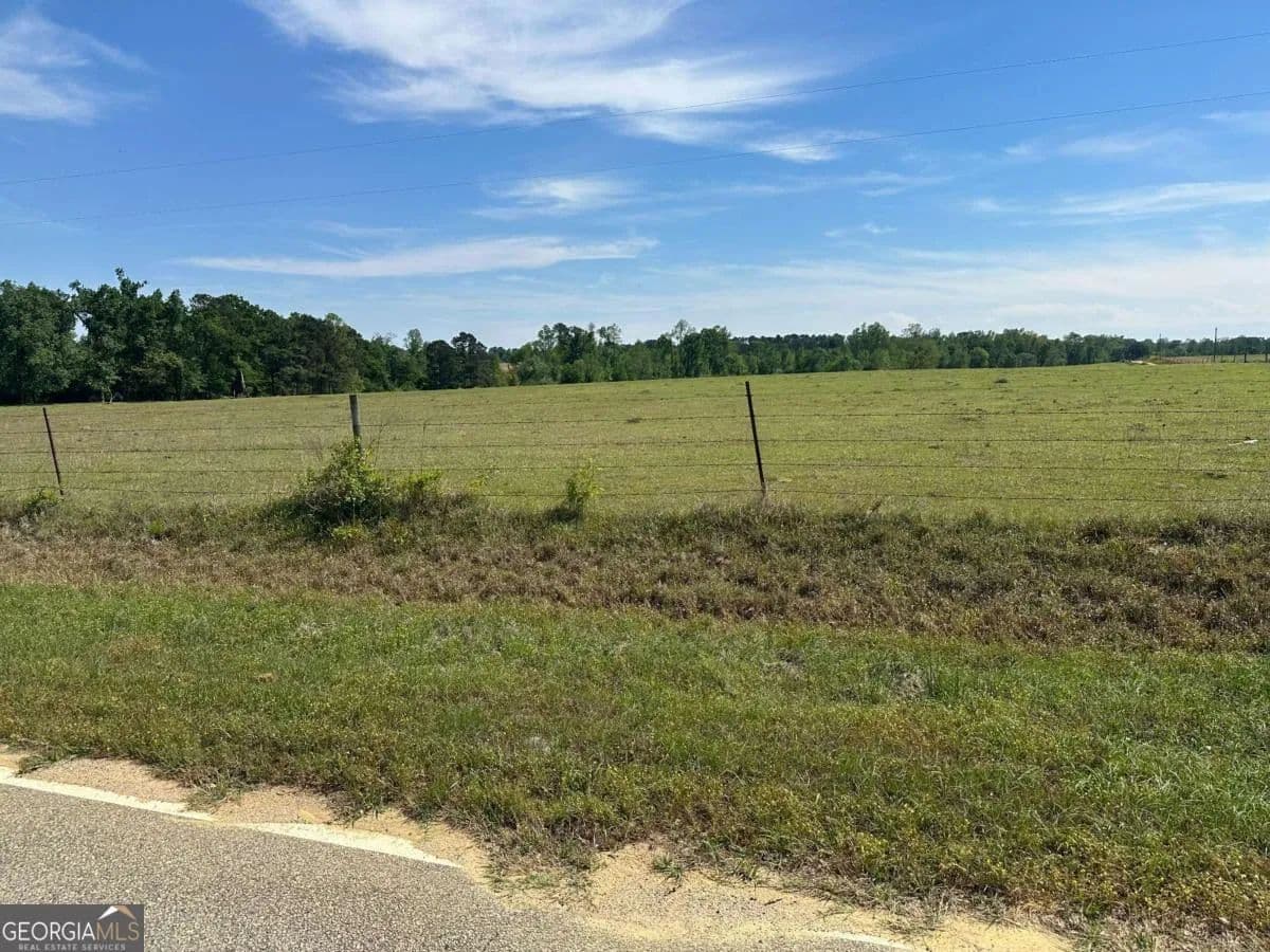 301.1 Acres of Land for Sale in Bartow, Georgia - Bartow, Georgia, 30413