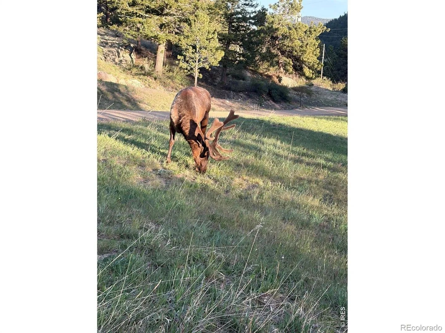 1.07 Acres of Land for Sale in Estes Park, CO - Estes Park, Colorado, 80517