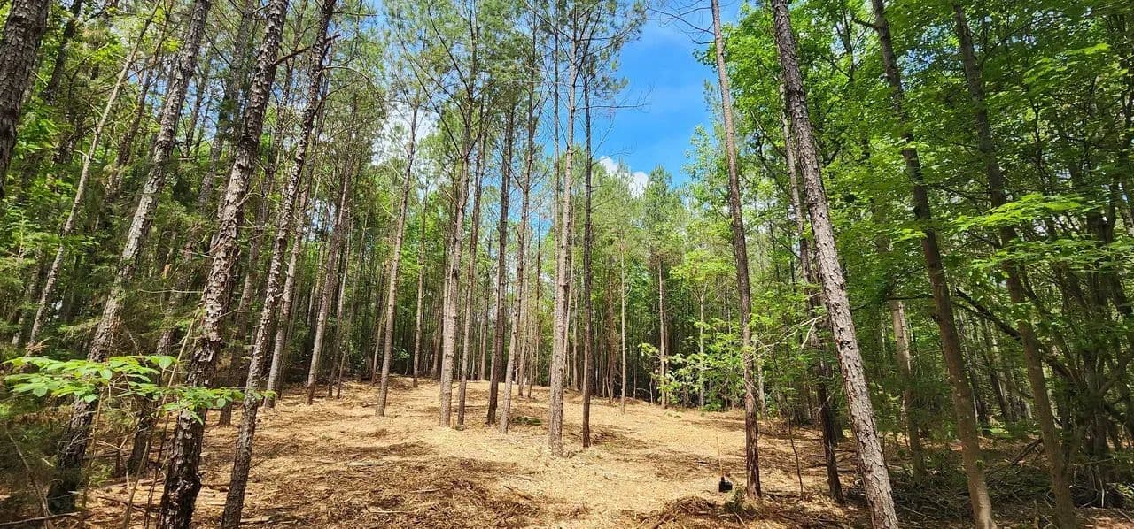 +/- 3ac - 4870 Old Airport Rd Winnsboro SC - Fairfield Co - land for sale