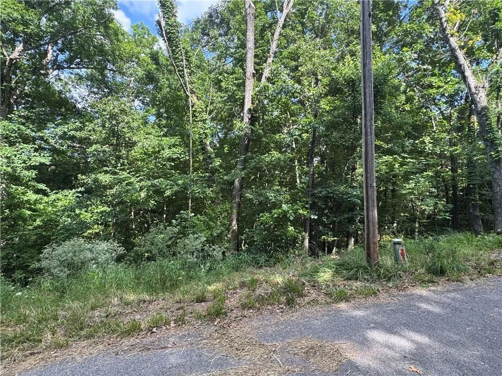 Property from Amesbury Drive - KW - Bella Vista, Arkansas, 72715