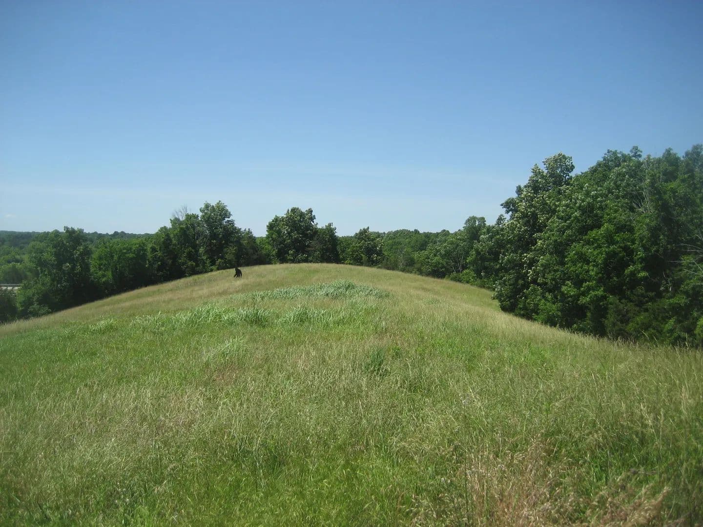 Property from 1234 Kays Road - KW - Lawrenceburg, Kentucky, 40342