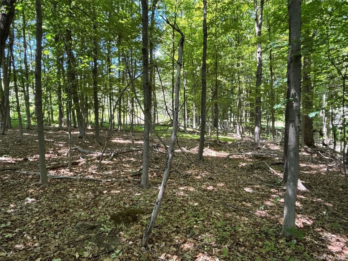 Property from 0 Smith Road - KW - Poughkeepsie, New York, 12603