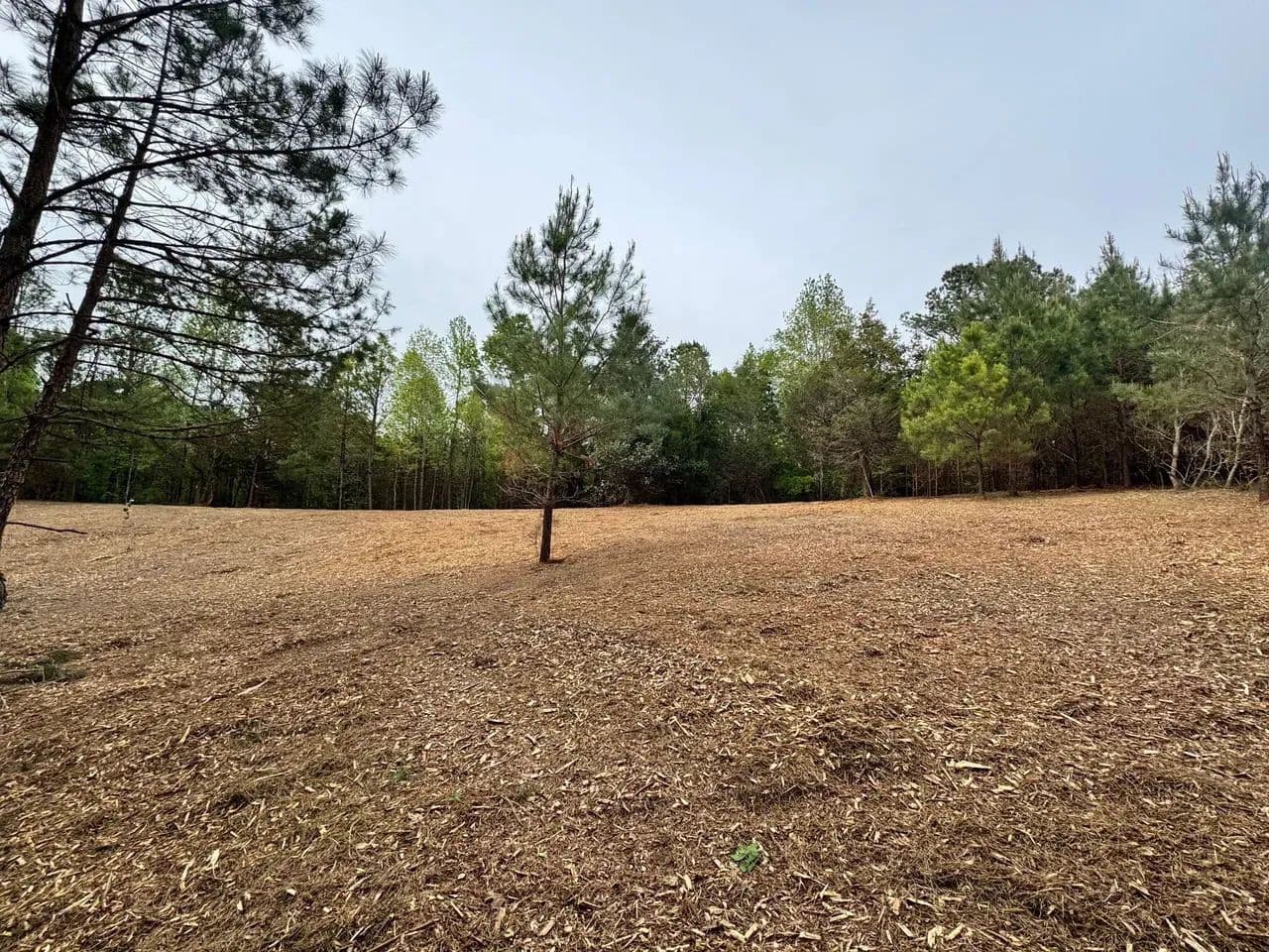 10 Acres with Pond, Mature Timber and Cleared Homesite - Ramer, Alabama, 36069