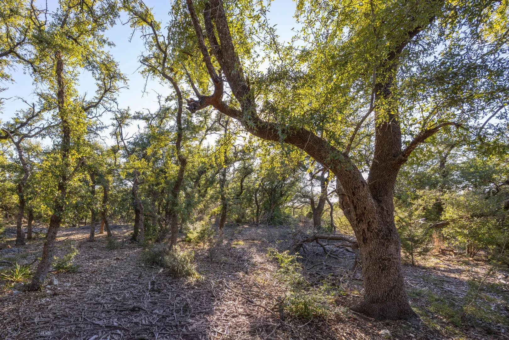 Land -Agricultural (Not Zoned) in Wimberley - Wimberley, Texas, 78676