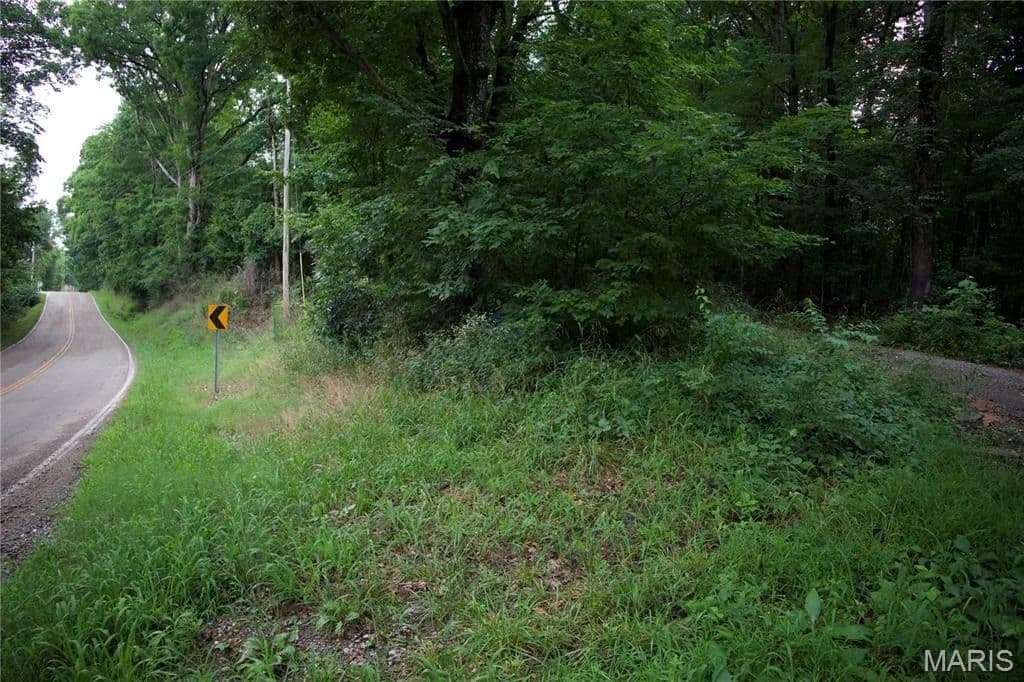 0.92 Acres of Land for Sale in Chaffee, MO - Chaffee, Missouri, 63740