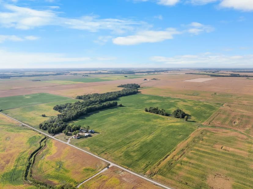 Richland and Jasper County Illinois Land Auction