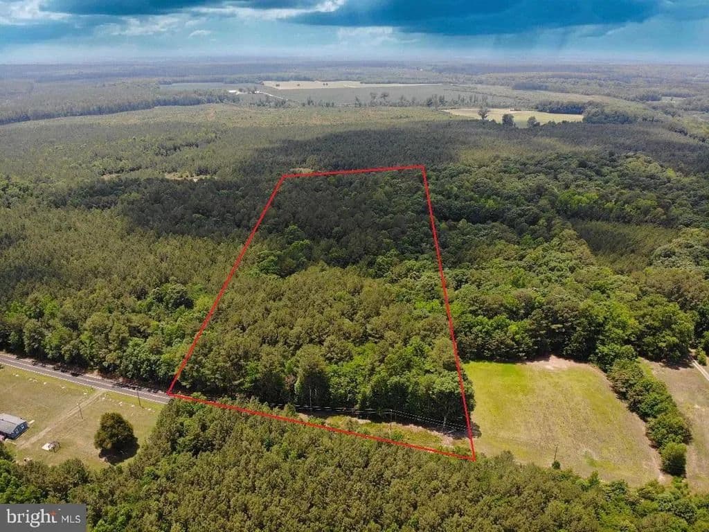 12 Acres of Land for Sale in SPRING GROVE, VA - Spring Grove, Virginia, 23881