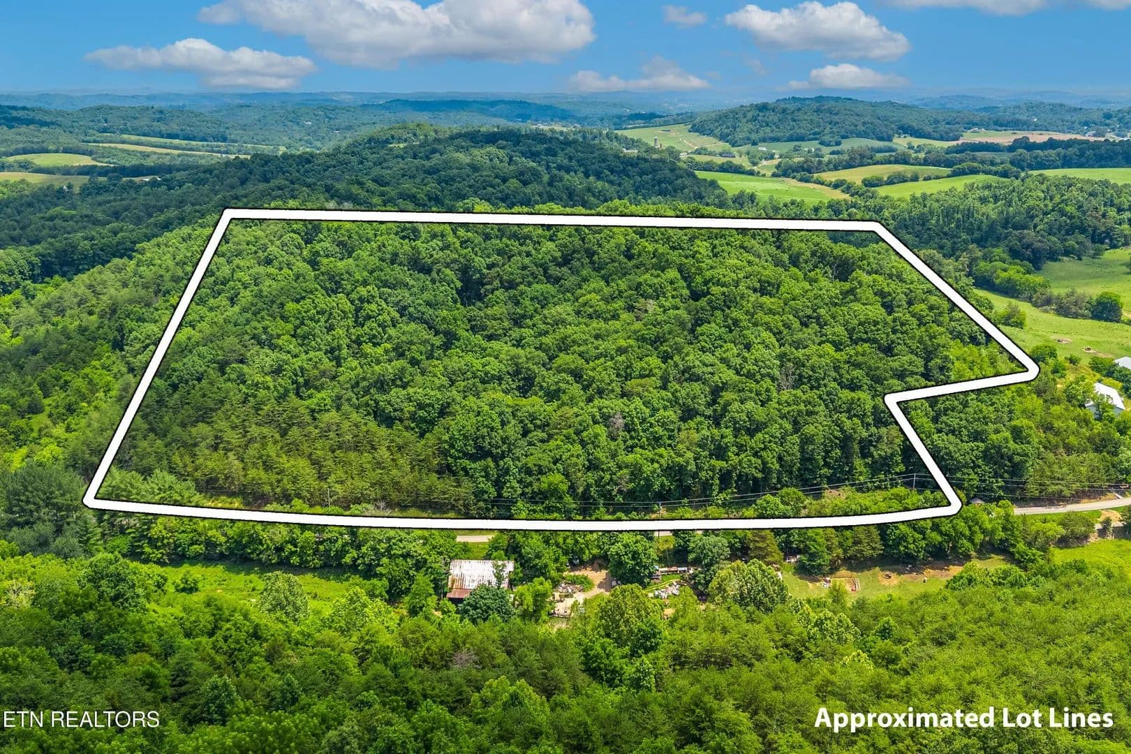 14.75 Acres of Land for Sale in Parrottsville, TN - Parrottsville, Tennessee, 37843