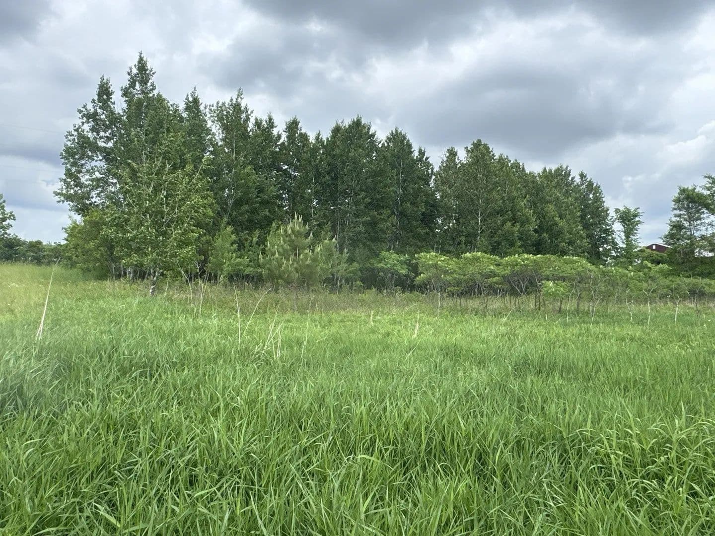 1.27 Acres of Land for Sale in Clayton, Wisconsin - Clayton, Wisconsin, 54004