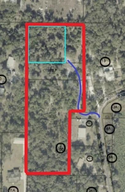 Vacant Land in Geneva - Geneva, Florida, 32732