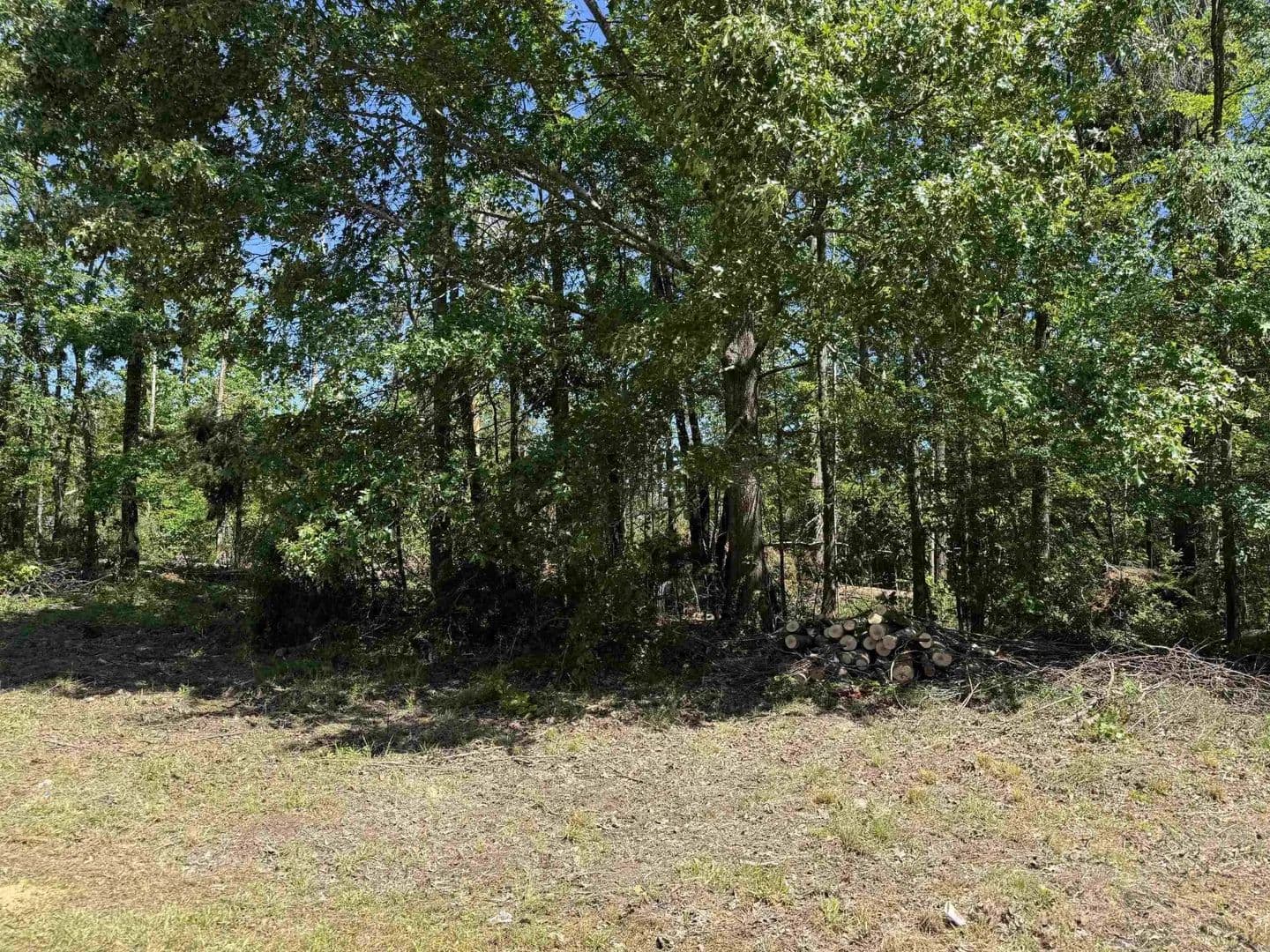 0.81 Acres of Land for Sale in Savannah, Tennessee - Savannah, Tennessee, 38372