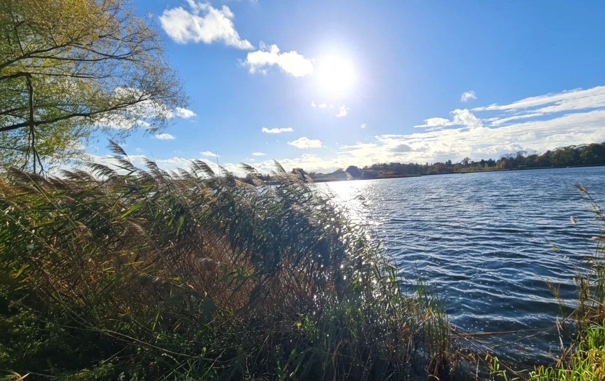 Działka rekreacyjna z warunkami zabudowy-Jaromierz - land for sale